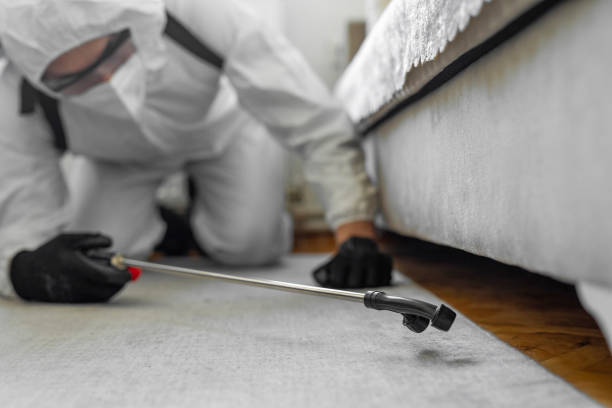 Professional Ant Control technician working in Pelican Bay, TX
