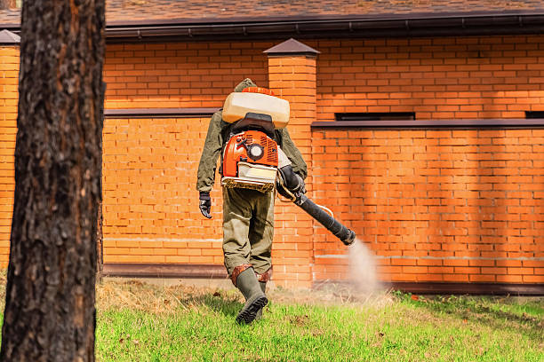 Trusted Emergency Pest Control service in Pelican Bay, TX - Nex Pest Control